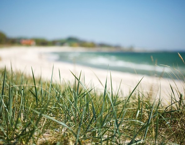 Mossby strand med turkost vatten och sandstrand